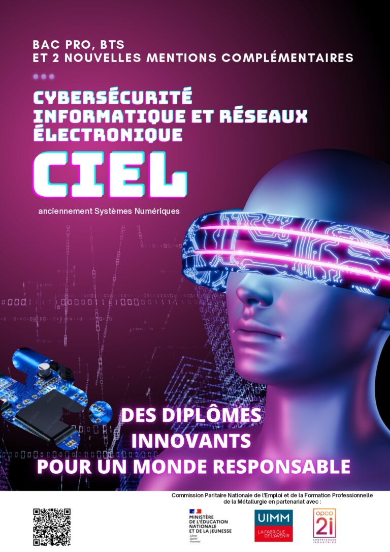 Bac Pro Cybersécurité, Informatique Et Réseaux, Électronique - Lycée Et ...